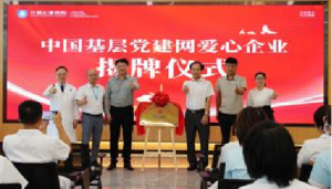 图片44