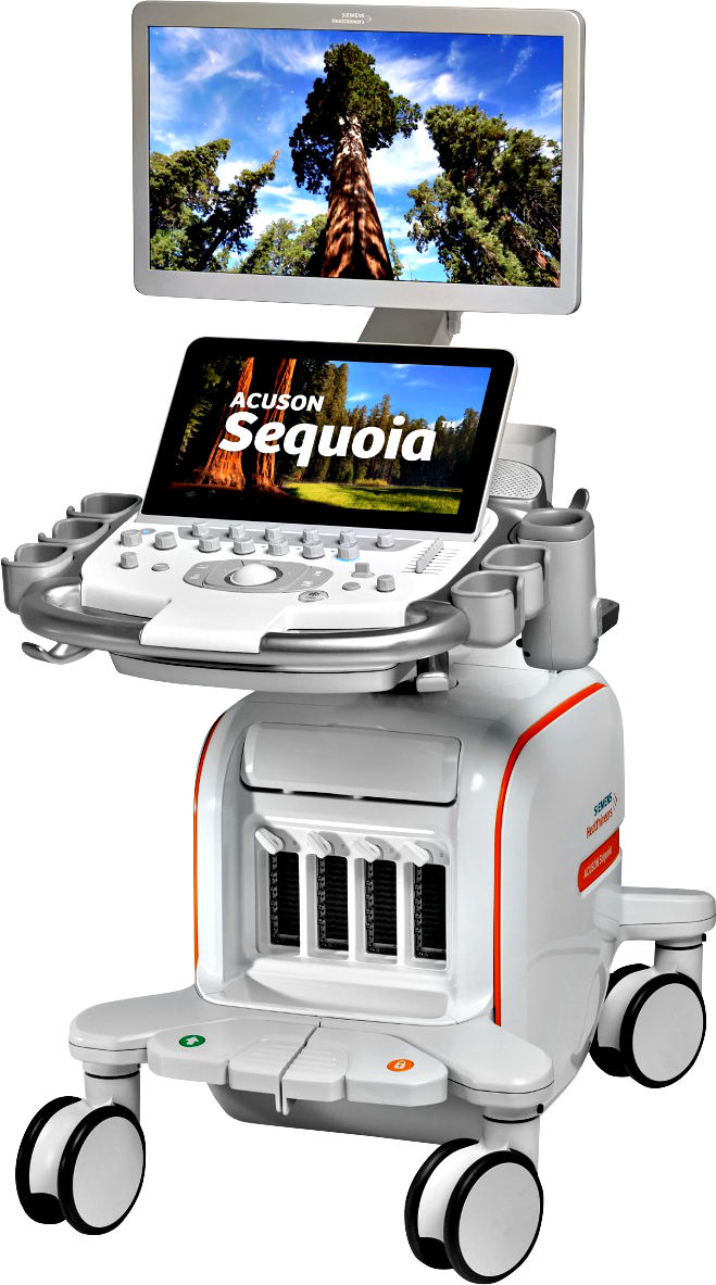 西门子彩超 acuson sequoia