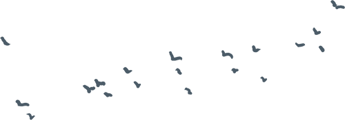 640 C125256c
